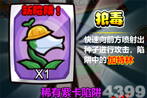 开云