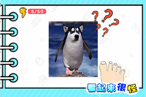 许环阳
