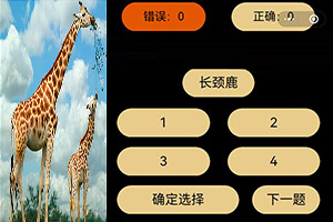 BOB·体育综合(综合)APP下载安装