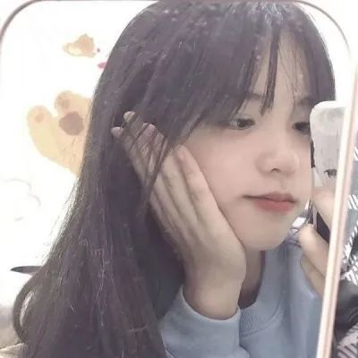 惠芬菊