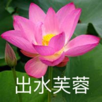 澳门风云电玩城安卓版特色