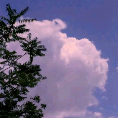 云开体育·app官方入口