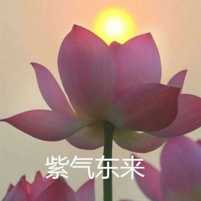 九游会AG下载手机版