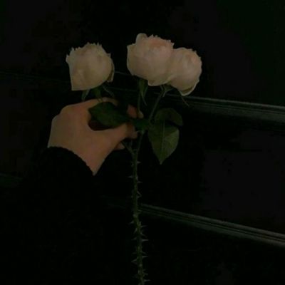 火狐体育下载app