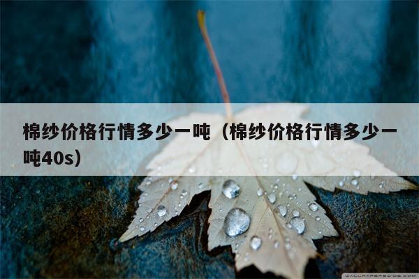 棉纱价格行情多少一吨（棉纱价格行情多少一吨40s）