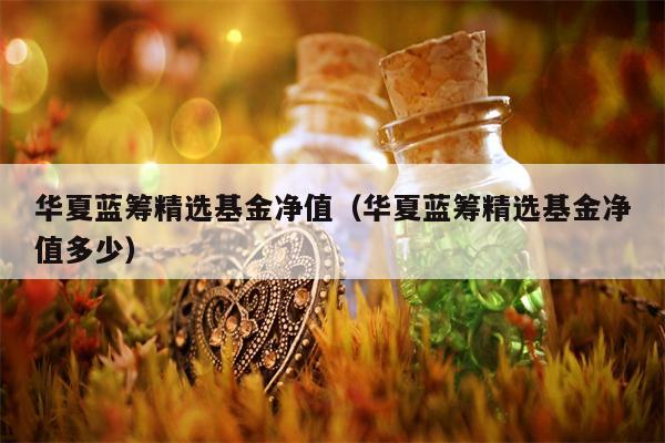 华夏蓝筹精选基金净值（华夏蓝筹精选基金净值多少）