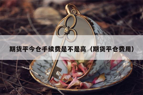 期货平今仓手续费是不是高（期货平仓费用）