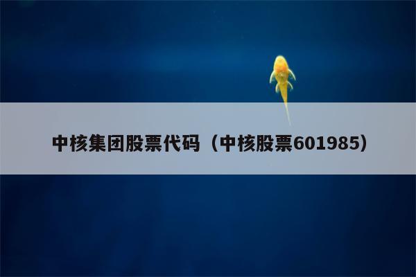 中核集团股票代码（中核股票601985）