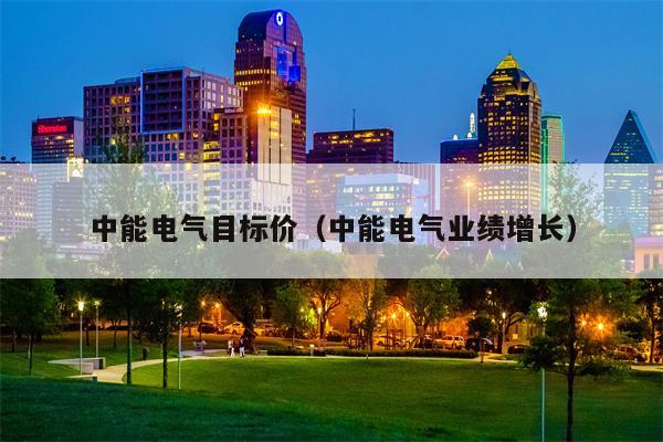 中能电气目标价（中能电气业绩增长）