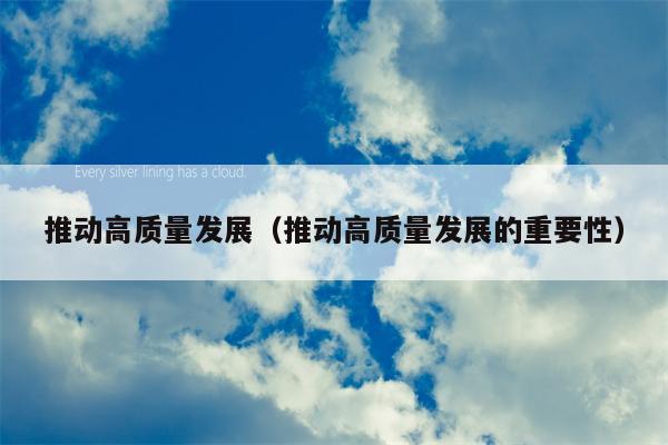 推动高质量发展（推动高质量发展的重要性）
