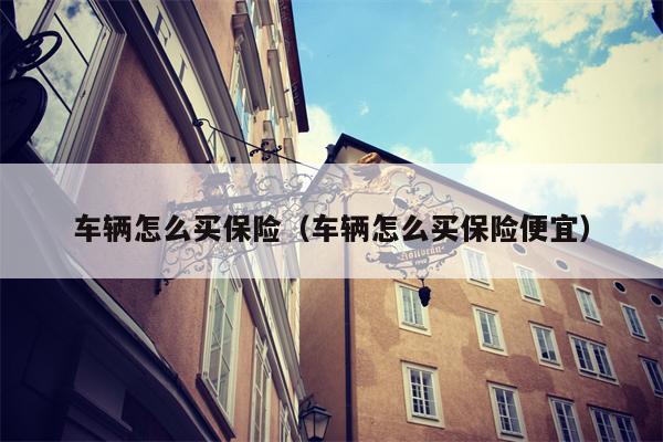 车辆怎么买保险（车辆怎么买保险便宜）