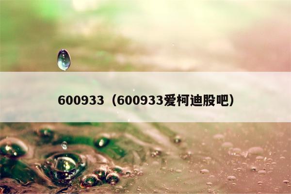 600933（600933爱柯迪股吧）