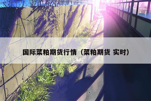 国际菜粕期货行情（菜粕期货 实时）