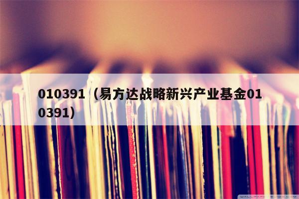 010391（易方达战略新兴产业基金010391）
