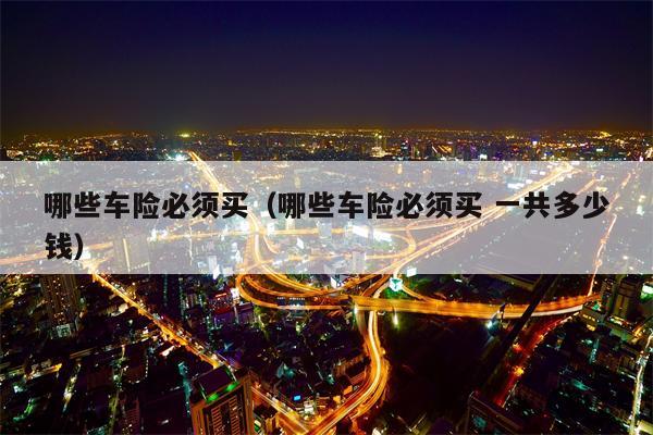 哪些车险必须买（哪些车险必须买 一共多少钱）