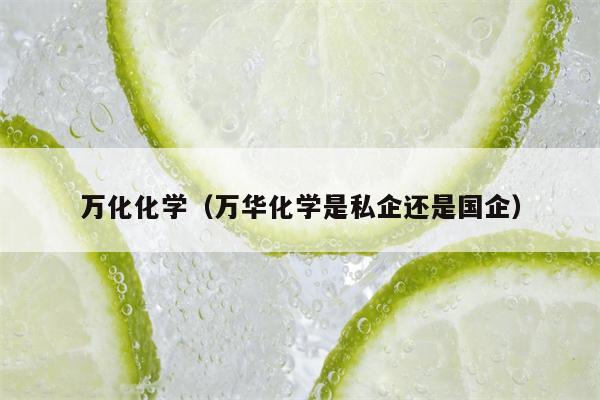 万化化学（万华化学是私企还是国企）