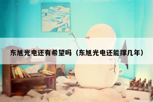 东旭光电还有希望吗（东旭光电还能撑几年）