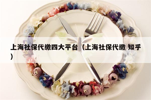 上海社保代缴四大平台（上海社保代缴 知乎）