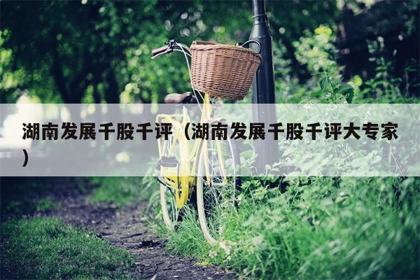 湖南发展千股千评（湖南发展千股千评大专家）
