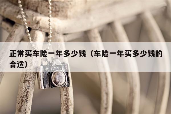 正常买车险一年多少钱（车险一年买多少钱的合适）