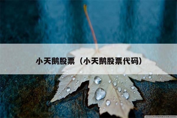 小天鹅股票（小天鹅股票代码）