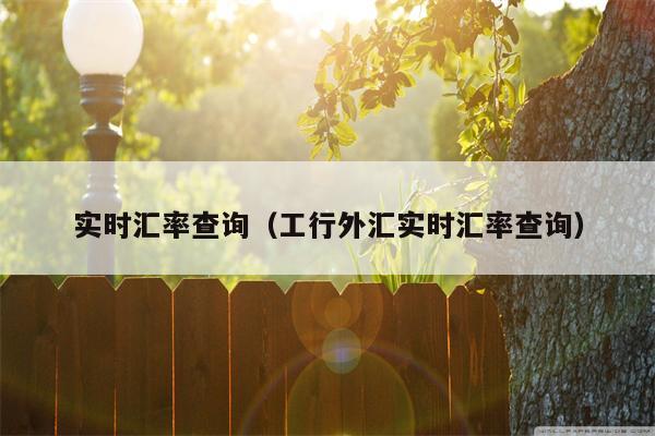 实时汇率查询（工行外汇实时汇率查询）