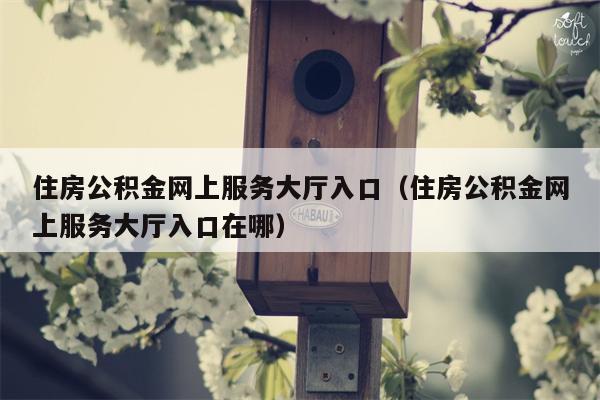 住房公积金网上服务大厅入口（住房公积金网上服务大厅入口在哪）