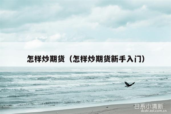 怎样炒期货（怎样炒期货新手入门）