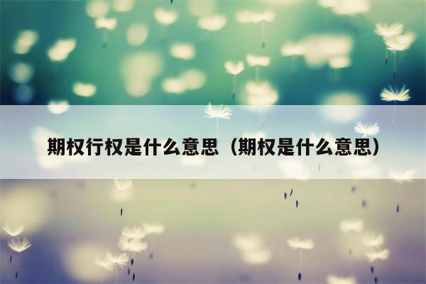 期权行权是什么意思（期权是什么意思）