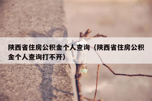 陕西省住房公积金个人查询（陕西省住房公积金个人查询打不开）