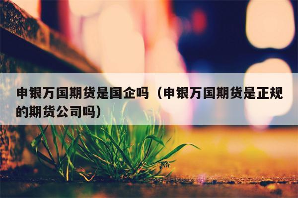 申银万国期货是国企吗（申银万国期货是正规的期货公司吗）