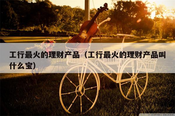 工行最火的理财产品（工行最火的理财产品叫什么宝）