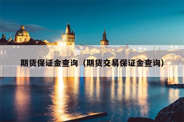 期货保证金查询（期货交易保证金查询）