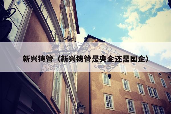 新兴铸管（新兴铸管是央企还是国企）