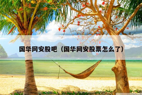 国华网安股吧（国华网安股票怎么了）