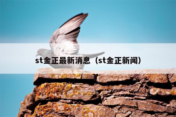 st金正最新消息（st金正新闻）