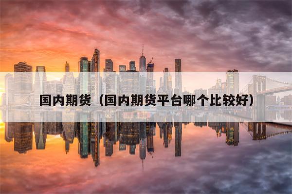 国内期货（国内期货平台哪个比较好）