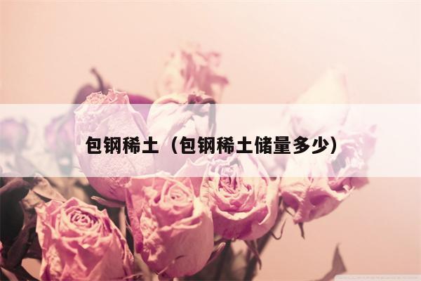 包钢稀土（包钢稀土储量多少）