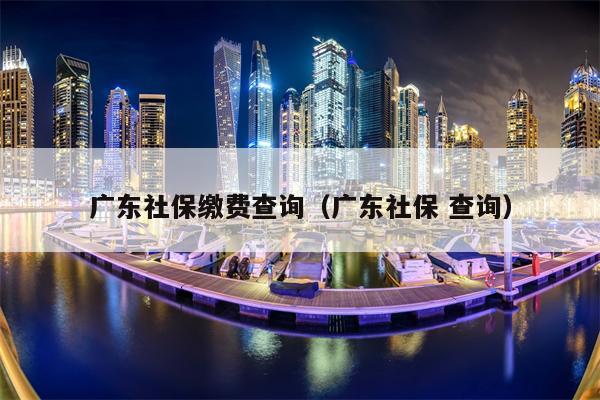 广东社保缴费查询（广东社保 查询）