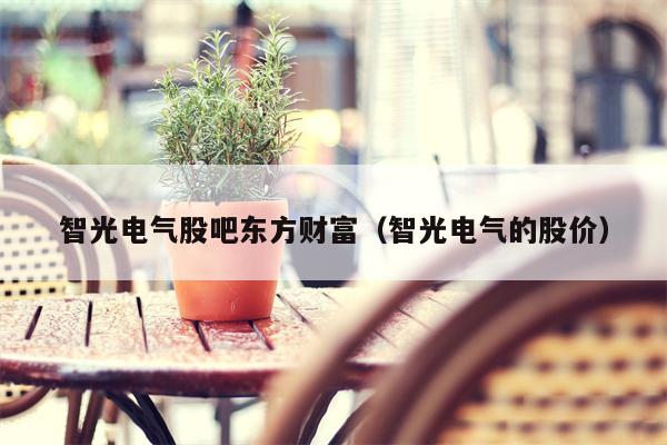 智光电气股吧东方财富（智光电气的股价）