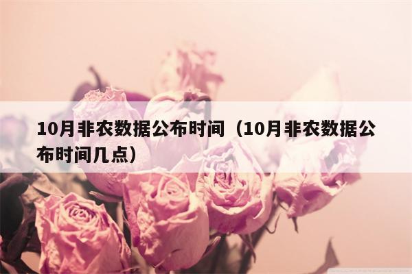 10月非农数据公布时间（10月非农数据公布时间几点）