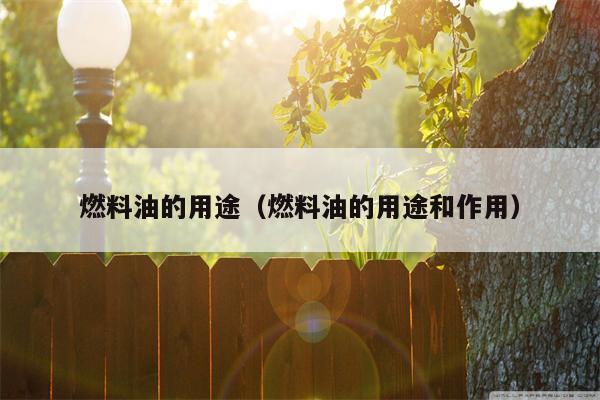 燃料油的用途（燃料油的用途和作用）