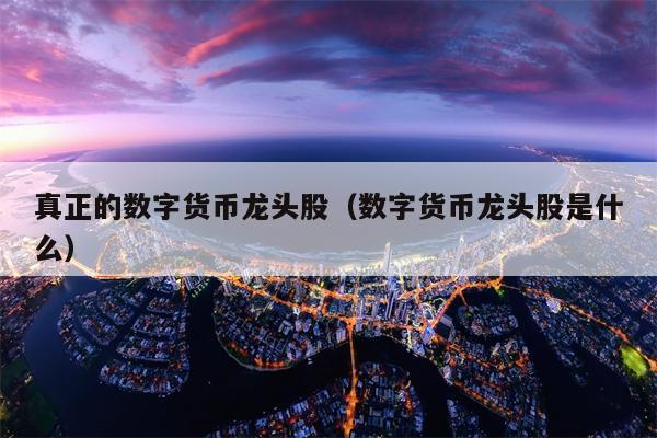 真正的数字货币龙头股（数字货币龙头股是什么）