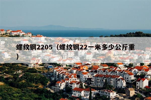 螺纹钢2205（螺纹钢22一米多少公斤重）