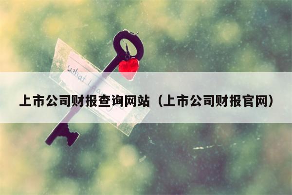 上市公司财报查询网站（上市公司财报官网）
