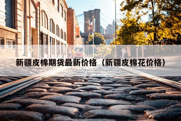 新疆皮棉期货最新价格（新疆皮棉花价格）