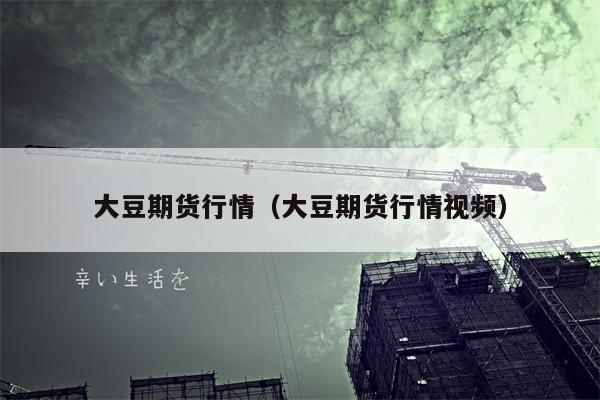 大豆期货行情（大豆期货行情视频）