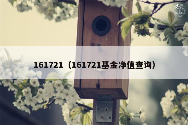 161721（161721基金净值查询）