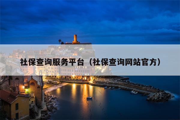 社保查询服务平台（社保查询网站官方）