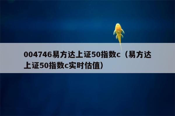 004746易方达上证50指数c（易方达上证50指数c实时估值）